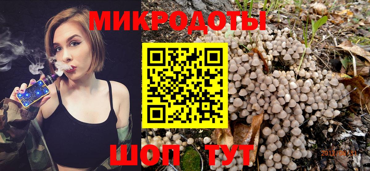 Галлюциногенные грибы мицелий Чайковский